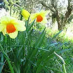 La Casa Di Famiglia
