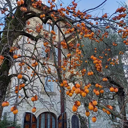 Appartamento La Casa Di Famiglia Assisi