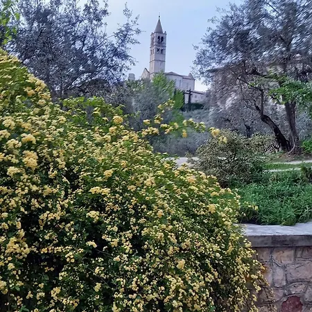 La Casa Di Famiglia Assisi